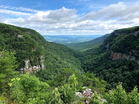The green valley of Cloudland Canyon.